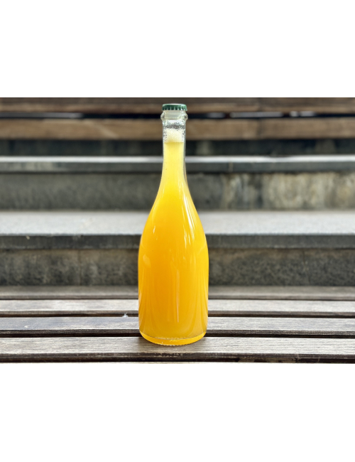 LEMONADE PEACH-PASSION, 1l