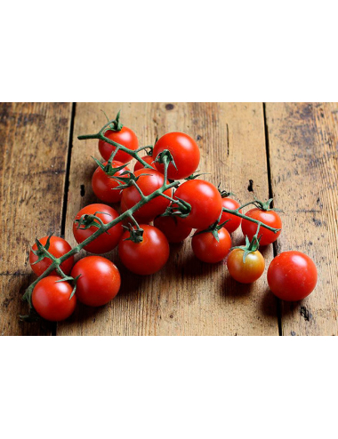 CHERRY TOMATOES