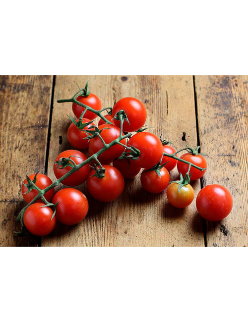 CHERRY TOMATOES