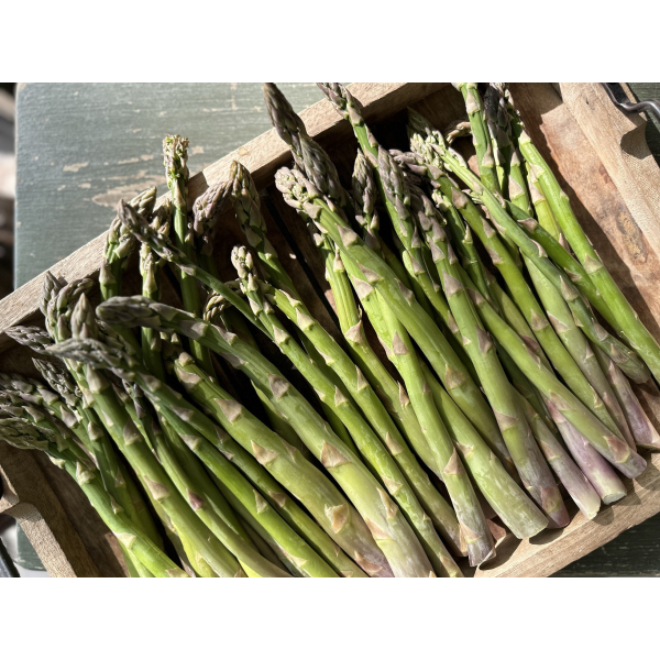 FRESH ASPARAGUS [500 g]