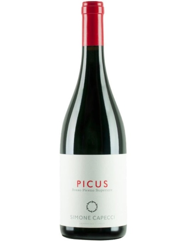 Picus Rosso Piceno Superiore.  вино купити с доставкою в Українi | iнтернет магазин GIANNIVINO