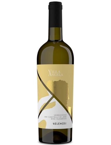 Verdicchio dei Castelli di Jesi. біле сухе вино купити с доставкою в Українi | iнтернет магазин GIANNIVINO