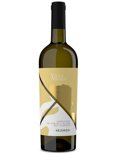 Verdicchio dei Castelli di Jesi. біле сухе вино купити с доставкою в Українi | iнтернет магазин GIANNIVINO