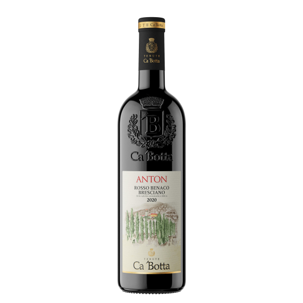 Anton Anton