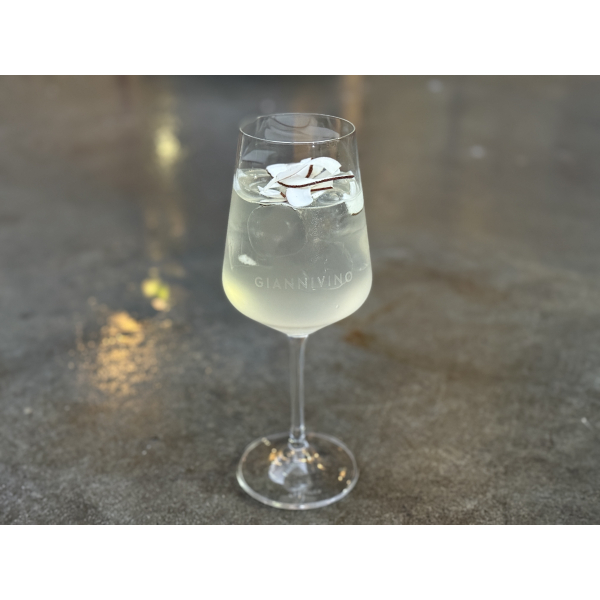 COCONUT SPRITZ.   вино купити с доставкою в Українi | iнтернет магазин GIANNIVINO