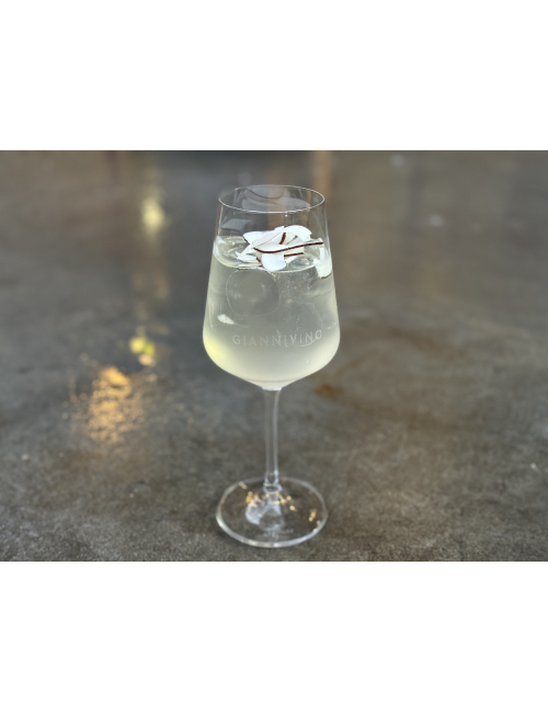 COCONUT SPRITZ.   вино купити с доставкою в Українi | iнтернет магазин GIANNIVINO