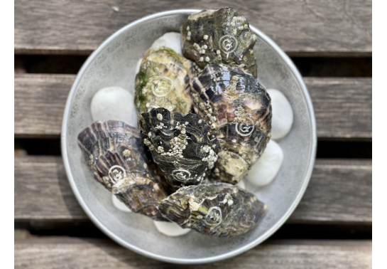 GILARDO №2 (FRANCE)