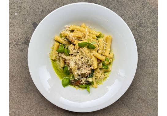 TORTIGLIONI WITH RABBIT AND ZUCCHINI