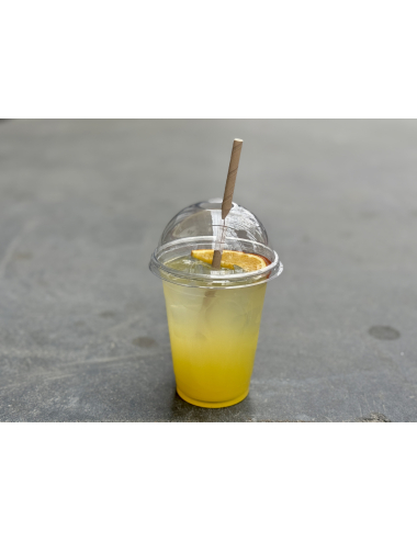 ЛИМОНАД ЦИТРУСОВИЙ, 0,3л.   вино купити с доставкою в Українi | iнтернет магазин GIANNIVINO