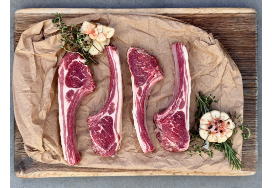 LAMB ROCHET [UKRAINE]