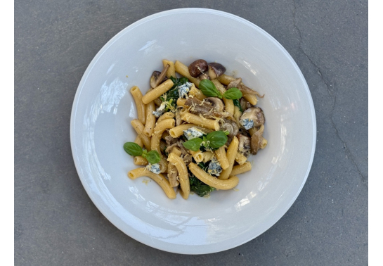 TORTIGLIONI WITH MUSHROOMS AND GORGONZOLA CHEESE