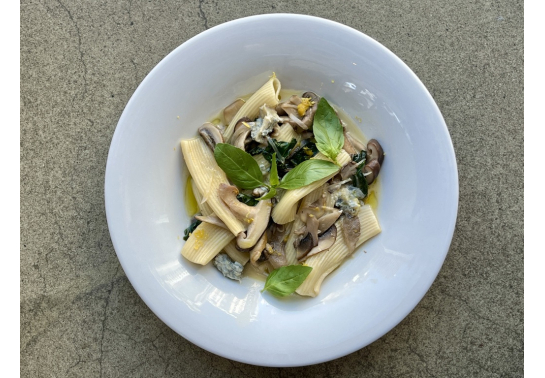 Buy RIGATONI WITH MUSHROOMS AND GORGONZOLA CHEESE
