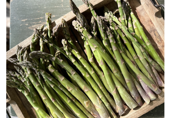 FRESH ASPARAGUS [500 g]