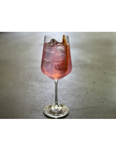 PINK CITRUS SPRITZ