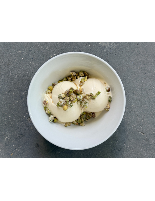 VANILLA GELATO