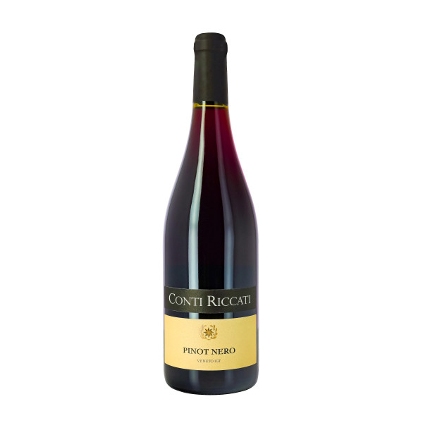 Вино AZZONI Conti Riccati Pinot Nero Pinot 0,75л