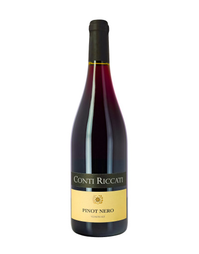 Вино AZZONI Conti Riccati Pinot Nero Pinot 0,75л