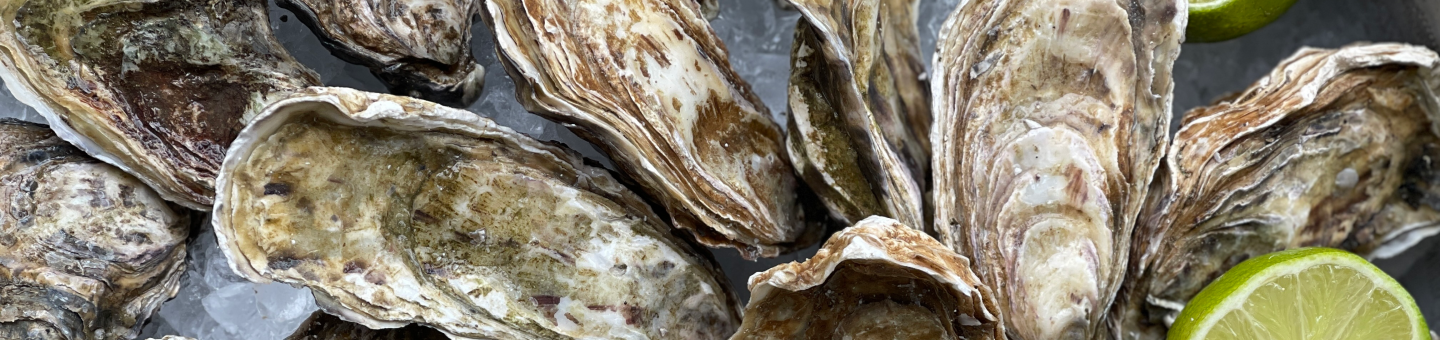 Buy Oysters with home delivery. Order in the online wine store: price, photo | GIANNIVINO